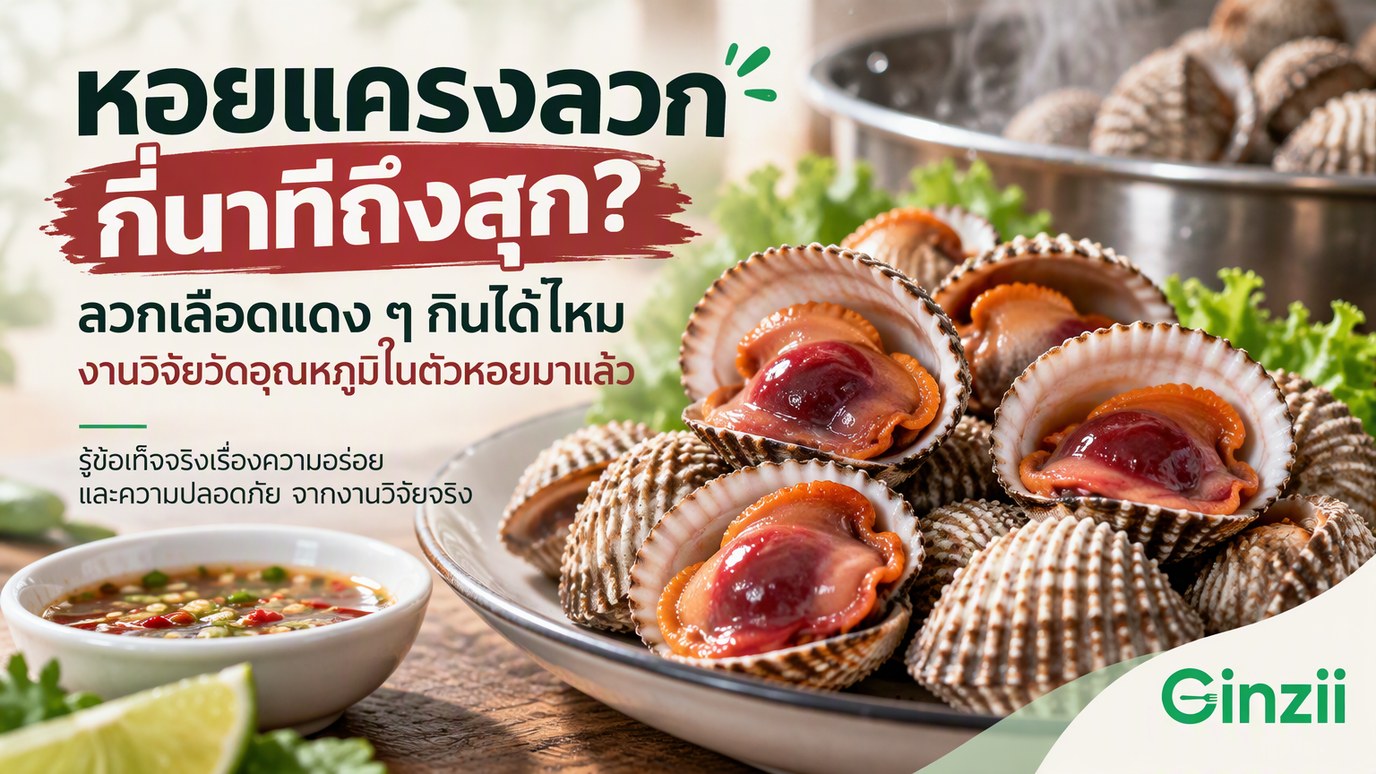 ปกบทความหอยแครงลวกกี่นาทีถึงสุก ลวกเลือดแดง ๆ กินได้ไหม จานหอยแครงลวกแกะเปลือกเห็นเนื้อแดง วางคู่ถ้วยน้ำจิ้มซีฟู้ดและมะนาว ฉากหลังเป็นหม้อน้ำเดือดใส่หอยแครง
