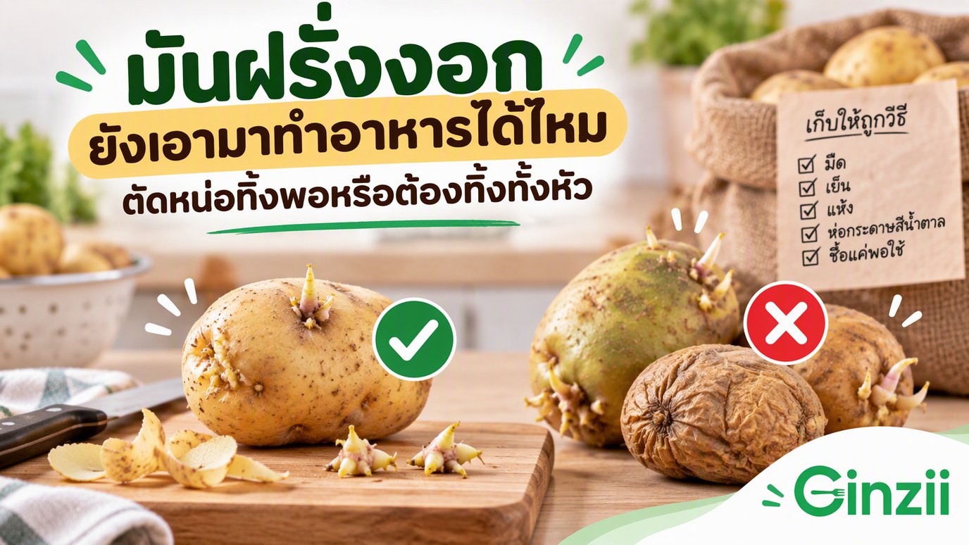 ปกบทความพาดหัว มันฝรั่งงอก ยังเอามาทำอาหารได้ไหม ตัดหน่อทิ้งพอหรือต้องทิ้งทั้งหัว ข้างล่างเป็นมันฝรั่งหัวแน่นที่คว้านหน่อออกแล้วติดเครื่องหมายถูก เทียบกับหัวเขียวงอกหลายจุดและหัวเหี่ยวย่นที่ติดเครื่องหมายผิด